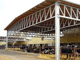 Bauerngesellschaft "Ziltendorfer Niederung"