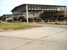 Bauerngesellschaft "Ziltendorfer Niederung"