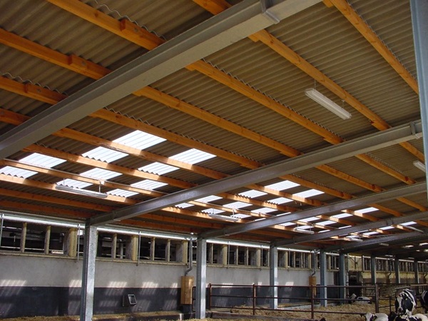 Dachtragwerk für Milchviehanlage