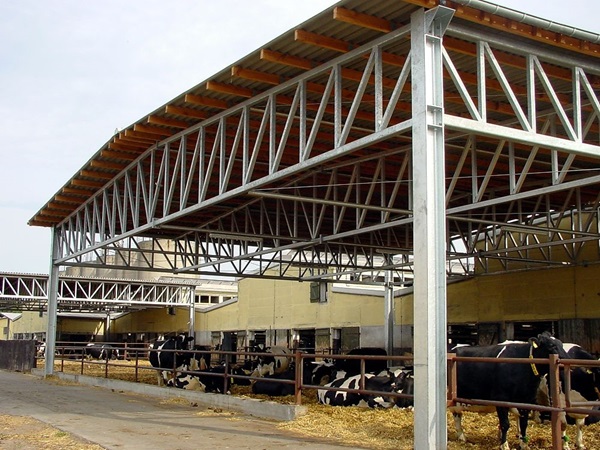 Fachwerk für Milchviehanlage